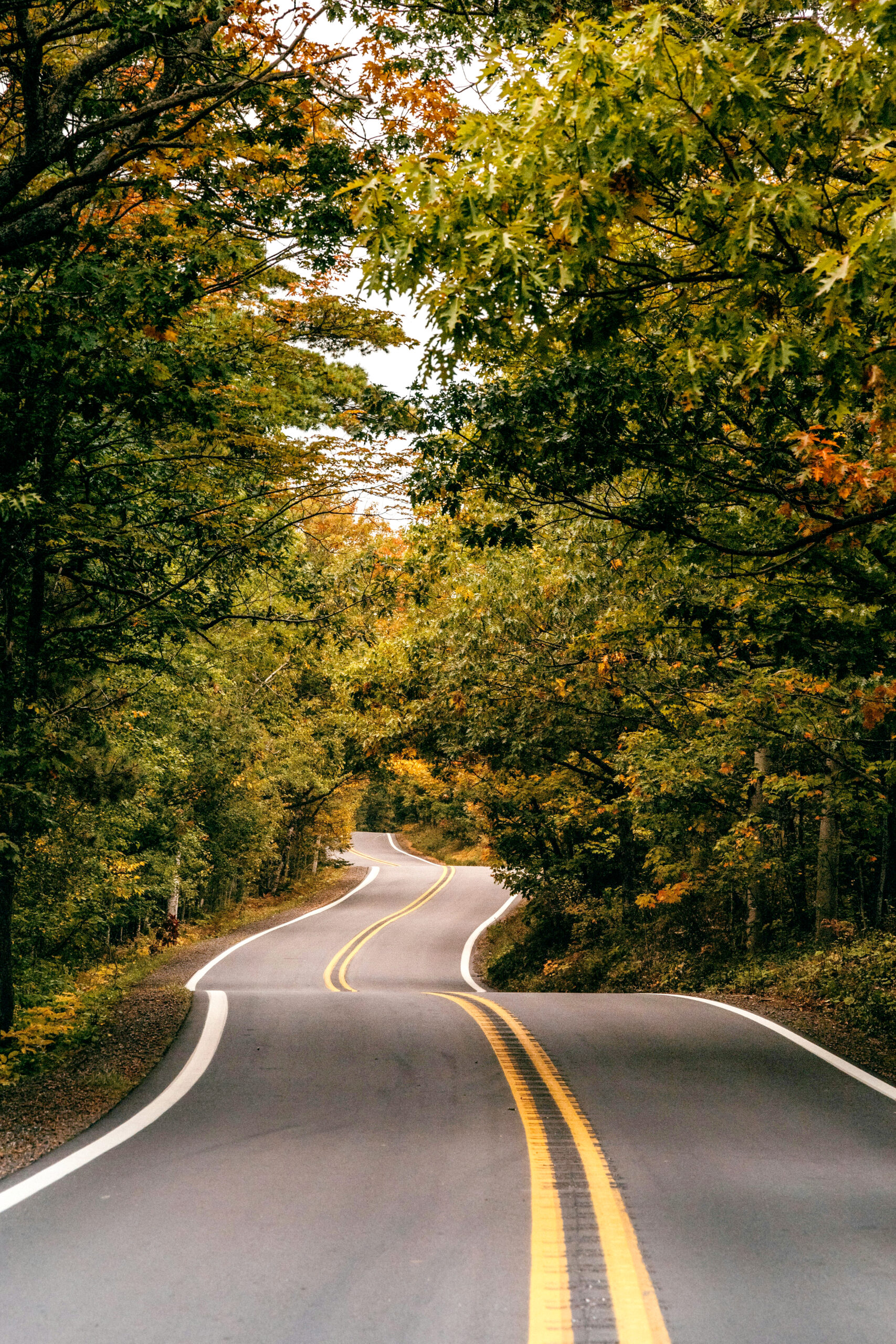 This image has an empty alt attribute, its filename is Oct25_Inbox_YM_Feature-scaled.jpg